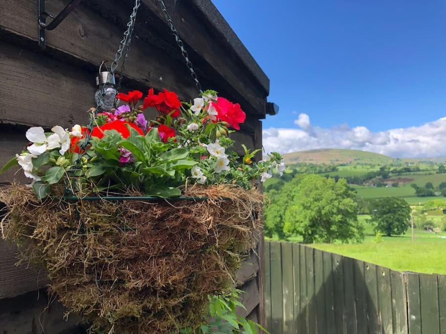 The Retreat Villa Llanrhaeadr-ym-Mochnant Buitenkant foto